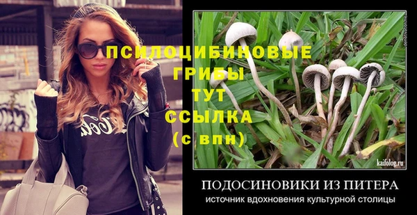 Альфа ПВП Зерноград