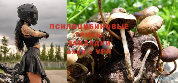 Альфа ПВП Зерноград