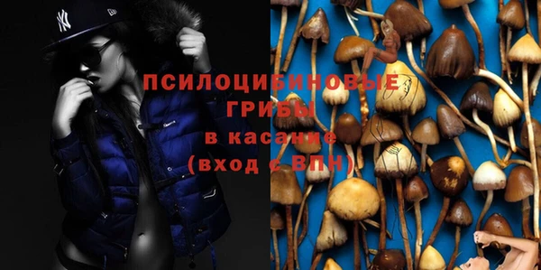 Альфа ПВП Зерноград